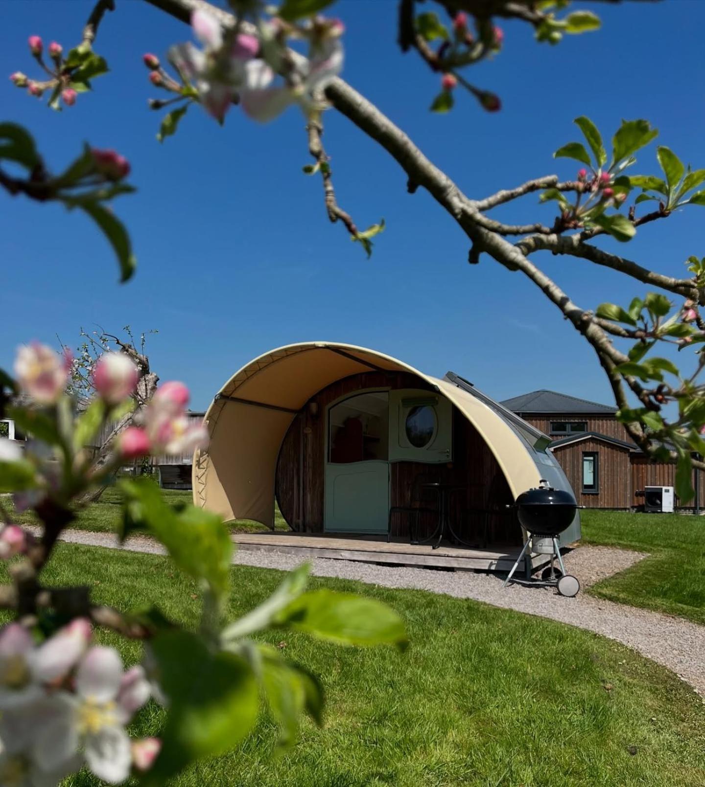 Middlewick Holiday Cottages Glastonbury Extérieur photo